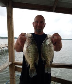 Two crappie fish caught in Quitman