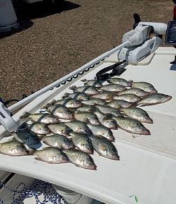 Two fishing rods with Texas scenery in the background