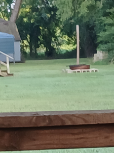 Clear skies and light tackle: the perfect recipe for a fishing adventure!