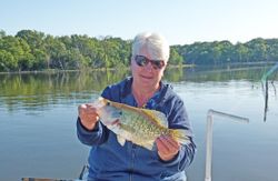 Lone angler fishing in Quitman