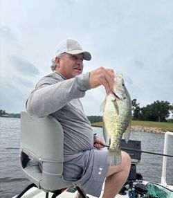 White crappie fish caught in Quitman