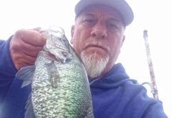 A white crappie fish caught in Quitman while fishing