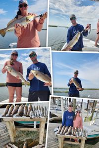 Fish-Species