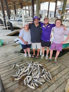 Fish-Species