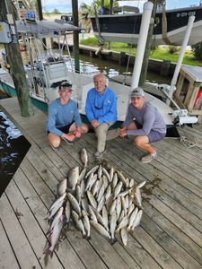 Fish-Species