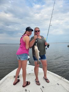 Fish-Species