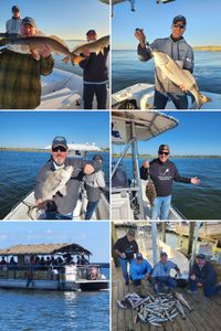 3 redfish and black drum fish caught during a fishing trip in LA