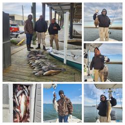 5 summer flounder and black drum fish caught in New Orleans