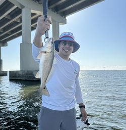 Redfish caught in LA