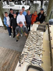 Sheepshead caught while fishing in LA