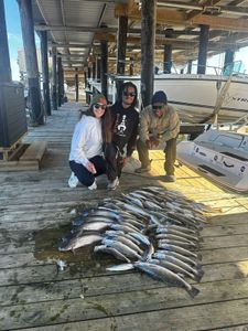 Spotted Weakfish caught in New Orleans