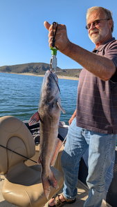 Nice blue catfish on light tackle using jigging and trolling techniques!