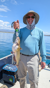Reeling in a Brown Bullhead on a clear day in Arizona!