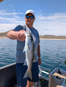 Caught a beauty on the lake today!