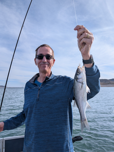 Caught a nice striped bass out on the lake today!
