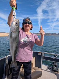 Caught a nice striped bass on the lake.