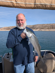 Caught a nice striped bass while out on the water!