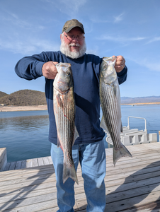 Caught some big ones at the lake today!