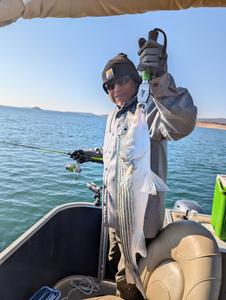 Caught a striped bass on the lake today!