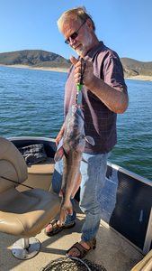 Nice channel catfish using light tackle techniques at Scorpion Bay Grill!
