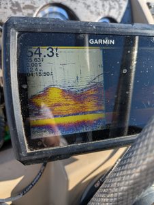 Checking the depths for a big catch.