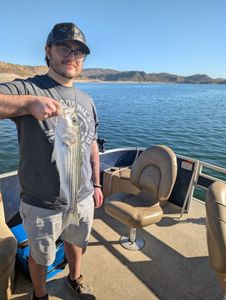 Enjoying a successful fishing excursion on the serene waters, surrounded by the majestic mountain landscape.