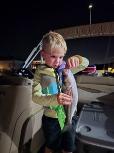 Fish-Species