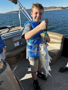 A fisherman with a white bass catch in Morristown