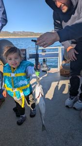 A person fishing in Morristown