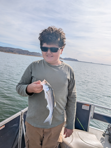 Gone fishing.