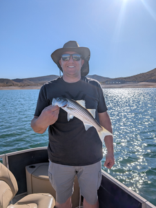 Hooked a nice one on a sunny day by the lake.
