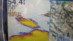 Sonar technology reveals what's below at Lake Pleasant!