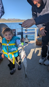 Success on the water at Lake Pleasant!