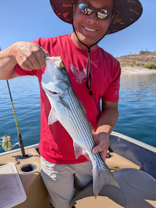 Landed a beauty on the lake!