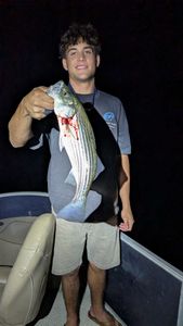 Striped bass catch displayed on boat in Morristown AZ