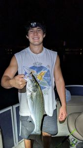 Striped bass catch displayed on fishing boat at night in Morristown AZ