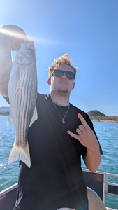 Striped Bass action in Morristown under clear skies!