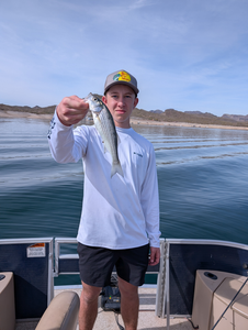 Peaceful day on the lake, caught a few good ones.