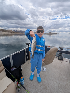 "A peaceful day on the lake with a few good catches."
