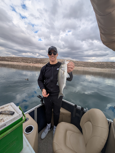 A peaceful day on the lake reeling in the catch.