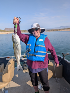 Peaceful day on the lake reeling in some big ones.