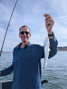 A peaceful day out on the lake with a catch to show for it.