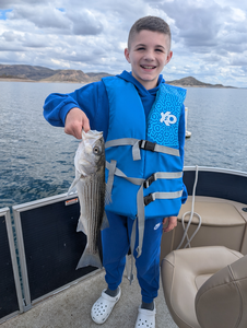 Peaceful morning on the lake, with a good catch.