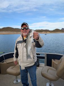 Proud angler shows off the day's catch on a serene desert lake, surrounded by rugged mountain scenery.
