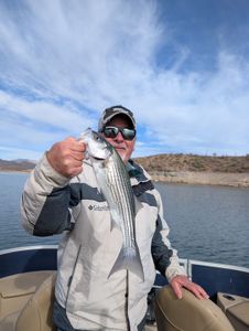 "Proud angler triumphantly displays their catch against the serene backdrop of a picturesque lake and cloudless sky."