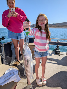 Reeling in the catch of the day.