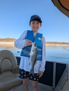 Reeling in a good catch on a peaceful day out on the water.