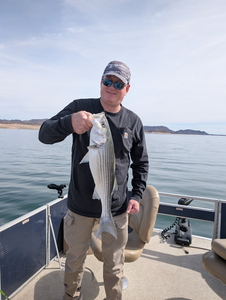 Reeling in a good one on a beautiful day.