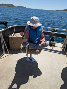 Relaxing day on the lake with a few good catches.
