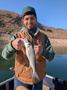"A serene day of fishing on the tranquil lakeside."